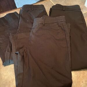 LOFT Women's Black 3 Pair Bundle  Pants - size 12